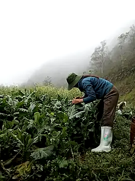 ngan-cute online show from 03/12/26, 04:07