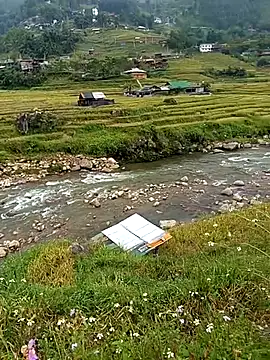 bing-bing88 online show from 09/14/25, 03:49