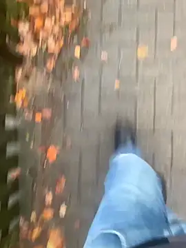 GeilerHSVFAN1989 online show from 11/14/25, 02:16