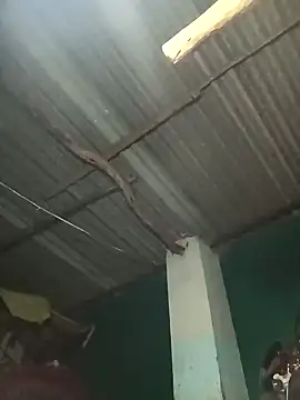 Snapshot of Hot-honi chatting on 09/19/25, 01:45 Hot-honi online show from 09/19/25, 01:45