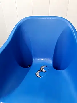 Snapshot of siya_rani67 chatting on 09/14/25, 03:38 siya rani67 online show from 09/14/25, 03:38