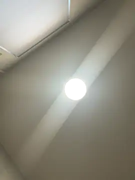 CheekyChelseaX online show from 12/17/25, 09:48