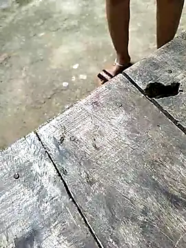 sexy  girls98 online show from 12/03/25, 05:48