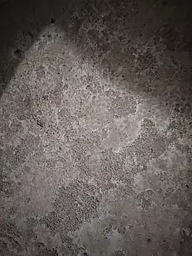 Snapshot of sexy__girls98 chatting on 02/06/26, 11:46 sexy girls98 online show from 02/06/26, 11:46