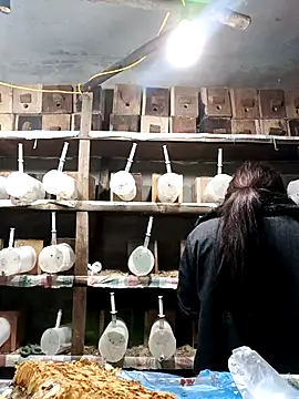 AnHa19 online show from 03/14/26, 09:59