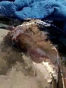 Snapshot of hdz3012 chatting on 11/15/25, 01:29 hdz3012 online show from 11/15/25, 01:29