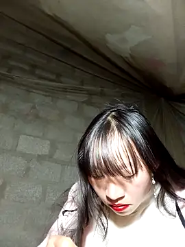 tcm-cute online show from 11/25/25, 12:49