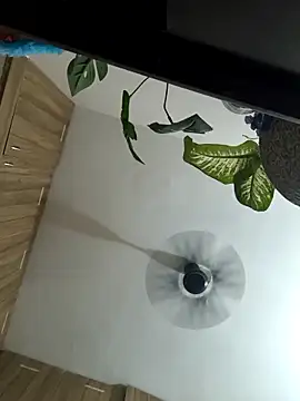 Snapshot of Spoorthi6_Kannada_Telugu chatting on 03/08/26, 04:33 Spoorthi6 Kannada Telugu online show from 03/08/26, 04:33