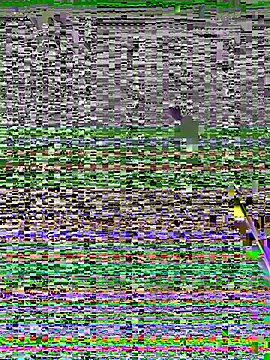 Yumii 09 online show from 10/08/25, 08:50