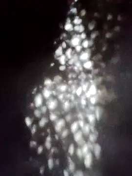 Perropa online show from 01/18/26, 05:28