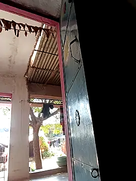 Payal950 online show from 09/16/25, 07:53