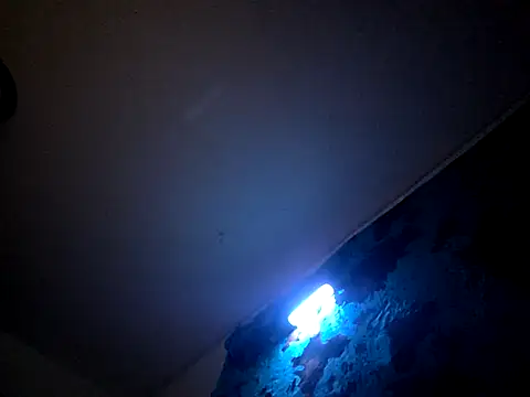 Snapshot of Bigdickdavis6969 chatting on 02/15/26, 02:58 Bigdickdavis6969 online show from 02/15/26, 02:58