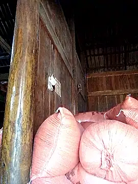 Snapshot of hera-00 chatting on 09/20/25, 03:40 hera-00 online show from 09/20/25, 03:40