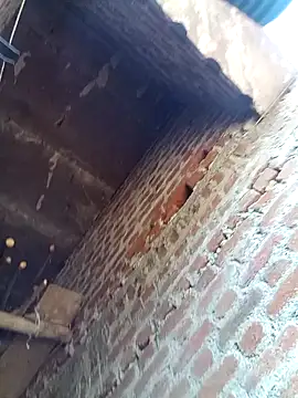 Xx pooja online show from 02/08/26, 09:13