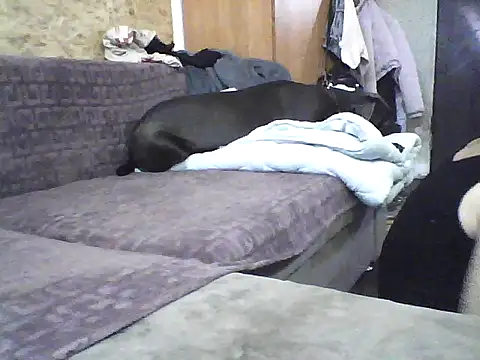 Snapshot of Milana38 chatting on 10/07/25, 09:50 Milana38 online show from 10/07/25, 09:50