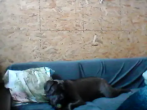 Snapshot of Milana38 chatting on 01/16/26, 11:14 Milana38 online show from 01/16/26, 11:14