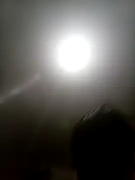 Bebicho14 online show from 11/13/25, 03:49