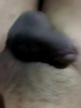 MH 12 11 online show from 09/22/25, 04:31