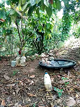 AlphaAlterX online show from 03/02/26, 03:52