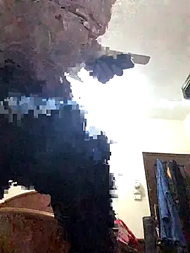 FlungBergenia online show from 12/21/25, 06:04