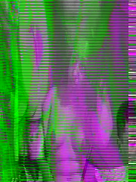 Snapshot of Savita_ji1 chatting on 10/30/25, 03:24 Savita ji1 online show from 10/30/25, 03:24