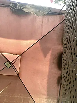 Adele Pinkk online show from 11/29/25, 11:57