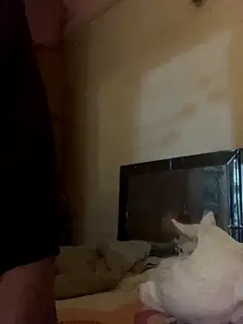 Kajal-Shemale69 online show from 11/17/25, 07:36