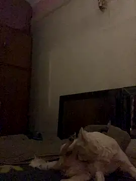 Kajal-Shemale69 online show from 12/16/25, 11:26