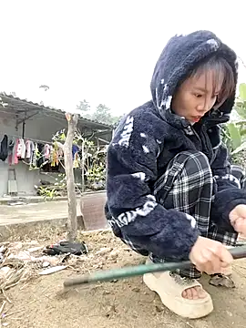 Tin tanny online show from 01/08/26, 12:46