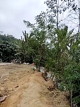 Tin tanny online show from 02/06/26, 12:37