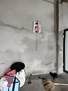 Tin tanny online show from 02/11/26, 01:10