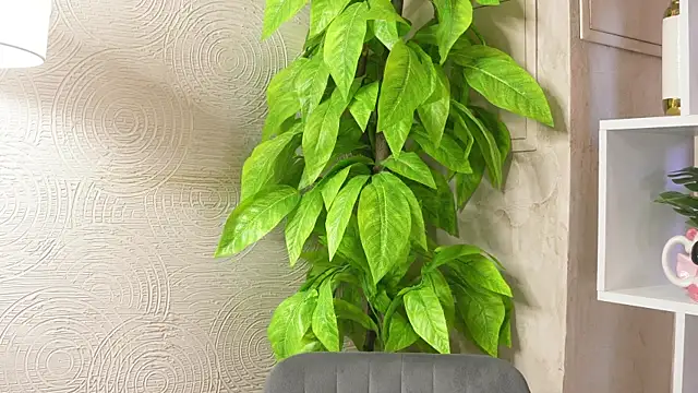 Snapshot of MarlinVarian chatting on 09/09/25, 06:13 MarlinVarian online show from 09/09/25, 06:13