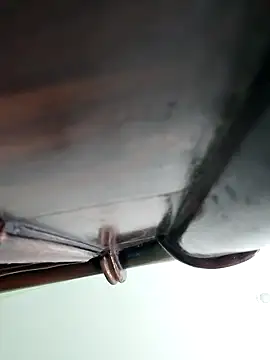 Snapshot of WildPayal chatting on 11/16/25, 08:20 WildPayal online show from 11/16/25, 08:20