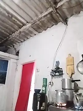  tetas 92 online show from 02/24/26, 01:53