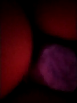 Snapshot of _tetas_92 chatting on 04/21/26, 01:53 tetas 92 online show from 04/21/26, 01:53