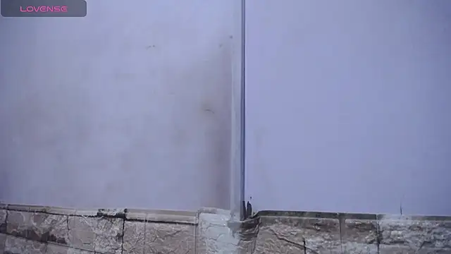 Bicky 24 online show from 02/25/26, 09:19