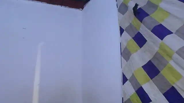 DaraKat18 online show from 06/11/26, 02:53