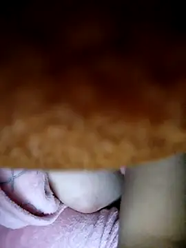 CHahed-5 online show from 01/07/26, 01:08