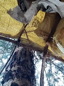 Janvi Jaitly online show from 11/23/25, 01:16