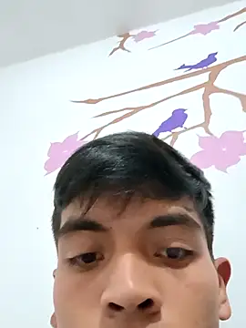 DavidVergagigante420 online show from 11/06/25, 04:08