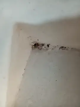 Punam jindal online show from 10/07/25, 06:10