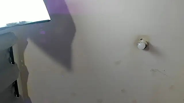 Ambeer fox  online show from 02/23/26, 07:55