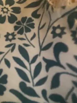 9ahbouna89sox online show from 09/11/25, 05:57