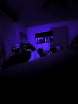 Snapshot of littlecockginger chatting on 10/31/25, 10:16 littlecockginger online show from 10/31/25, 10:16