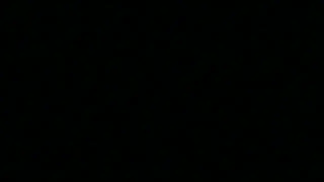 Snapshot of Pyrelissa chatting on 12/04/25, 06:34 Pyrelissa online show from 12/04/25, 06:34