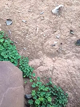 Ag punam online show from 02/10/26, 02:15