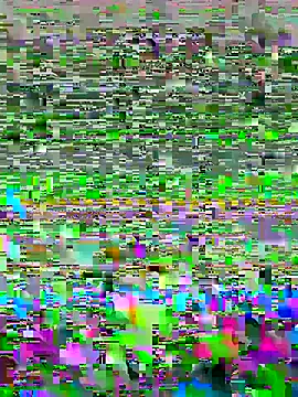 luzmelzinha online show from 05/02/26, 05:34