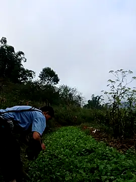 kemtuoi-sex online show from 10/03/25, 01:13