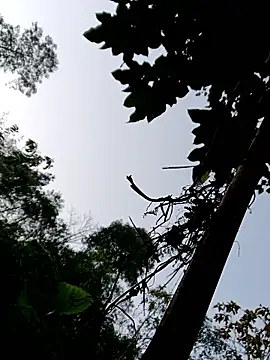 Snapshot of kemtuoi-sex chatting on 01/11/26, 11:54 kemtuoi-sex online show from 01/11/26, 11:54