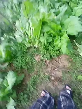 Snapshot of kemtuoi-sex chatting on 01/17/26, 10:31 kemtuoi-sex online show from 01/17/26, 10:31